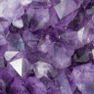 Meet your Posher, Kitty